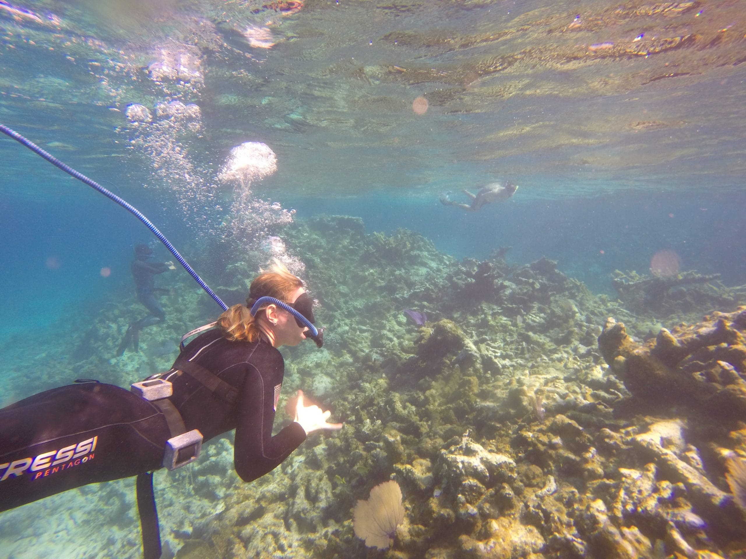 ocean diving system