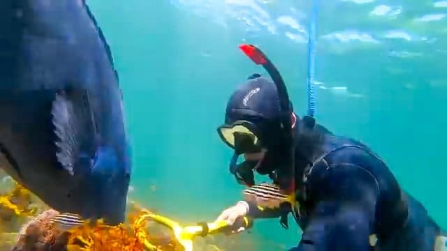 Pack Your Hookah Diving System and Visit These Beautiful Destinations