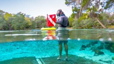 Split underwater view showing Nemo