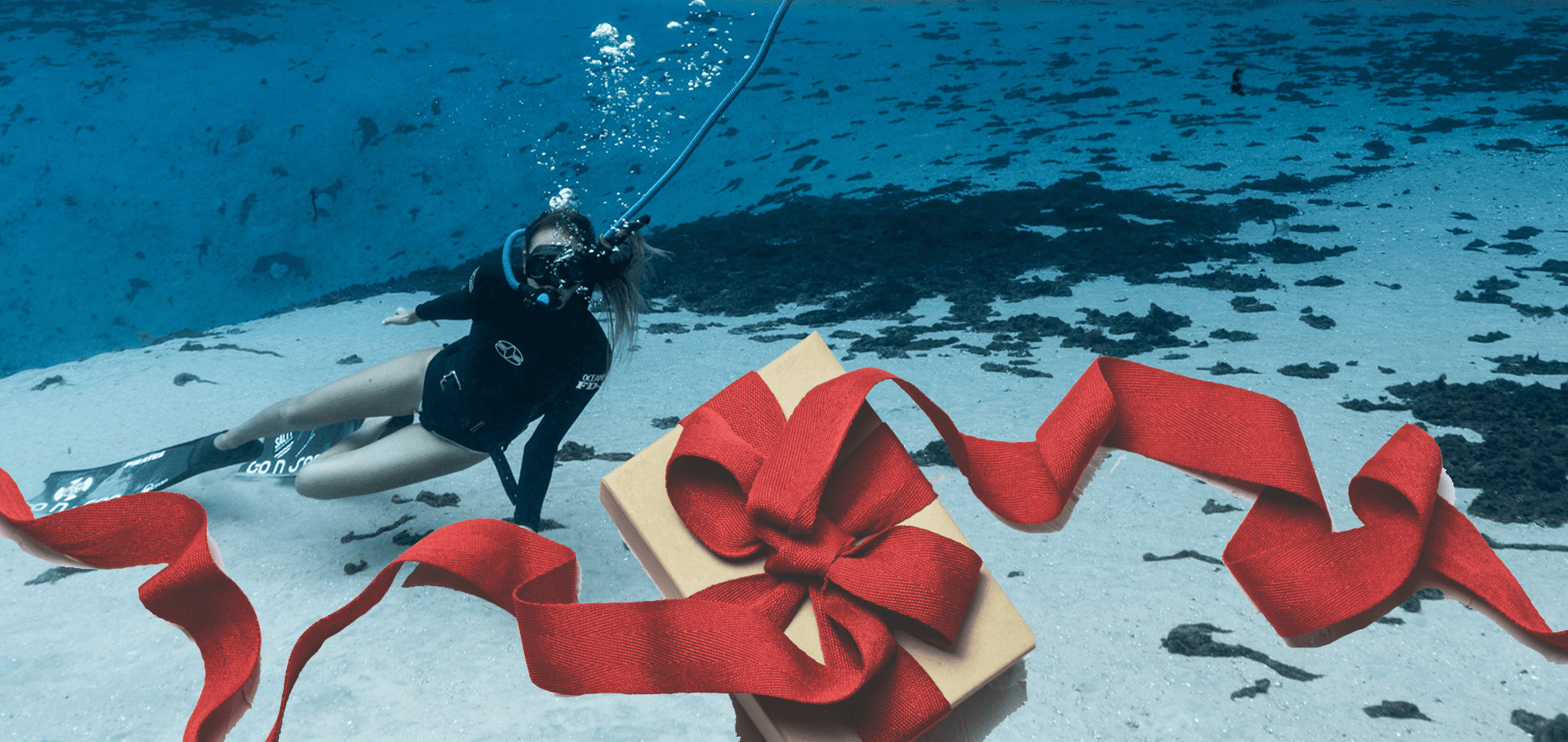 Holiday Gift Guide 2021