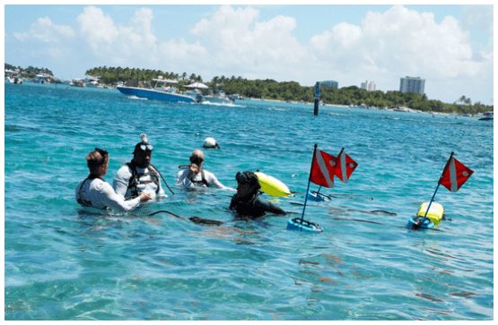BLU3 Training vs. Scuba Diving