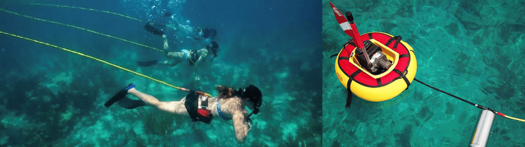 Sealion-battery-powered-dive-system-3divers Divers using Brownie's Third Lung SeaLion system