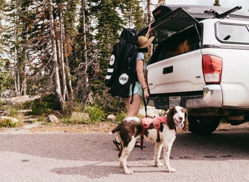 popboard-inflatable-paddle-board-backpack-dog Person with a POP Board Co. inflatable paddle board backpack loading gear into a truck with a dog wearing a life jacket nearby.