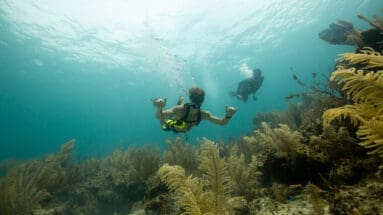 A diver explores a reef using a BLU3 Nomad dive system which is portable thanks to Smart Reg dive technology.