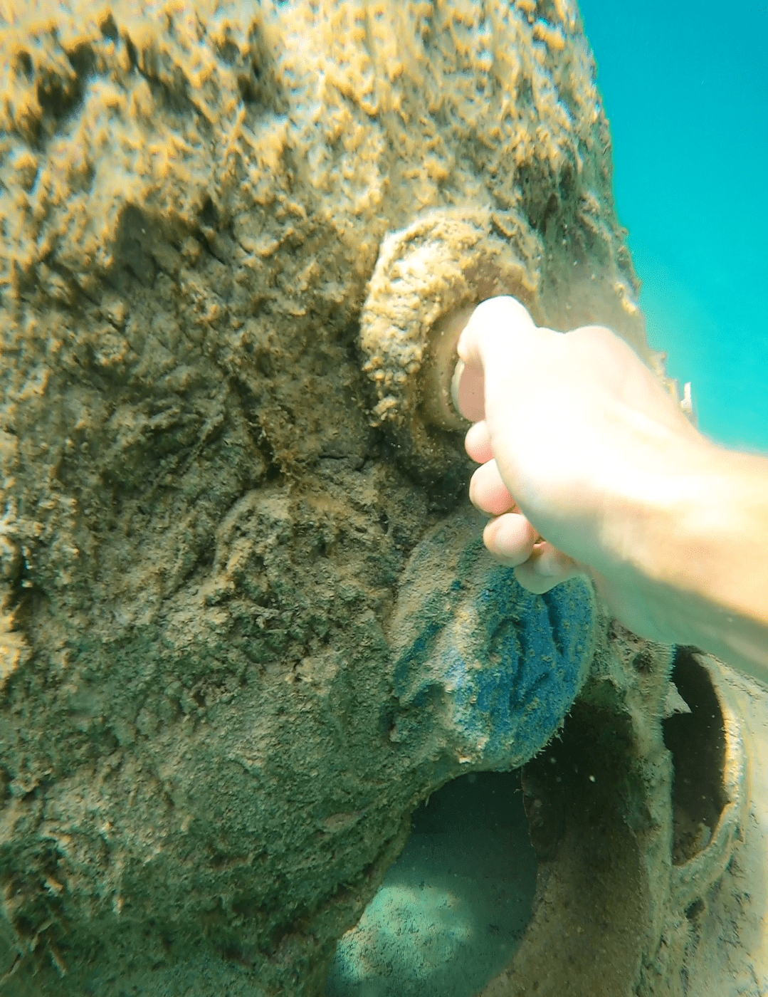 Hand securing Coral Lok into artificial reef structure during coral restoration dive in Hollywood, Florida.