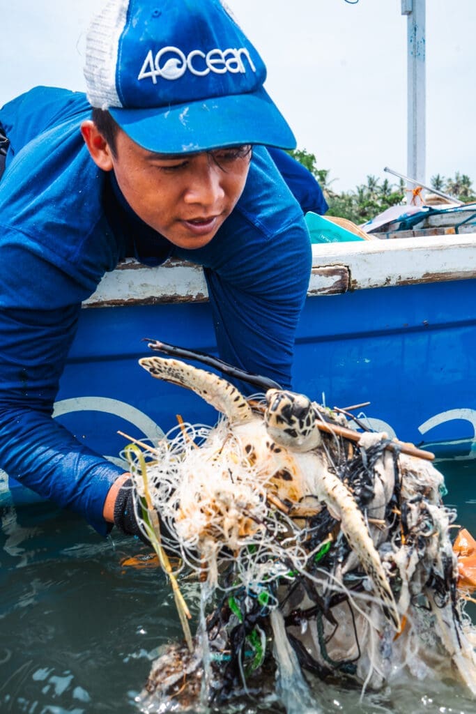 4ocean responder rescuing a sea turtle tangled in discarded fishing line and ocean debris.